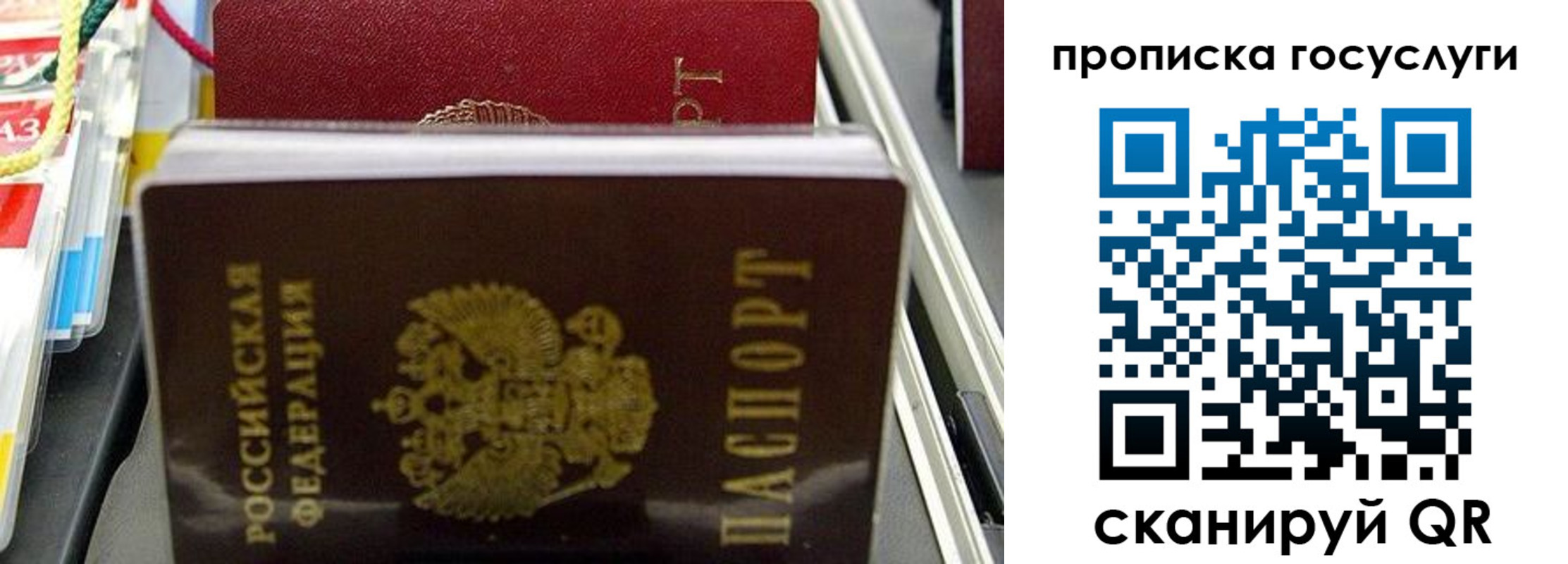 где прописаться в Почепе